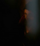 DreamHouse_005.jpg