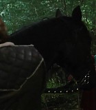 DraculaUntold_200.jpg
