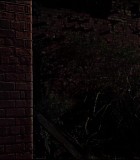 ARoyalNightOut_396.jpg