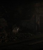 ARoyalNightOut_406.jpg