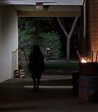 219_003.jpg