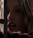 219_071.jpg