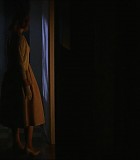 104_292.jpg