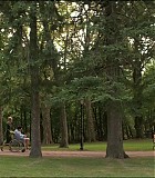 107_015.jpg