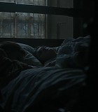 102_413.jpg