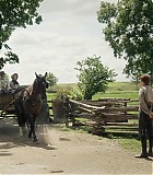 103_201.jpg