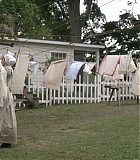 103_377.jpg