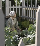105_225.jpg